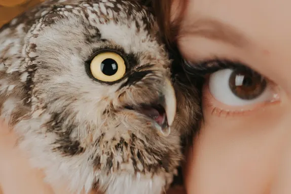 Kazino MR Fortune Pagalba